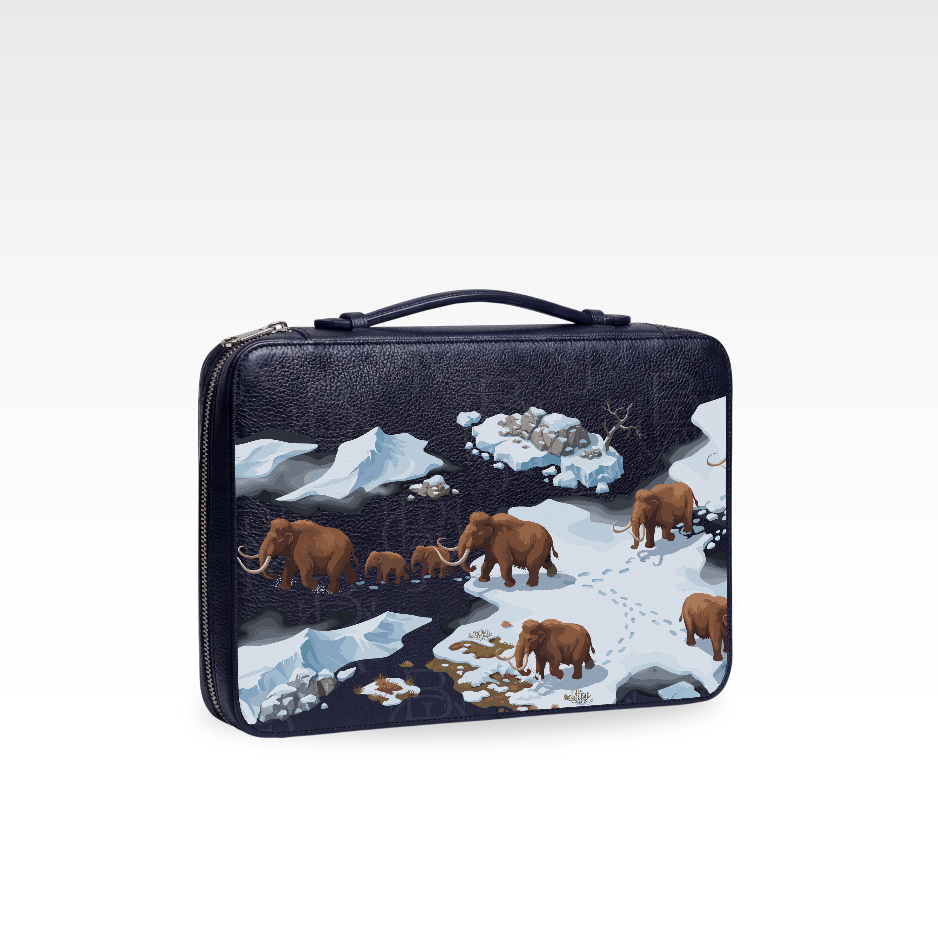 Brief Case - Ice Age