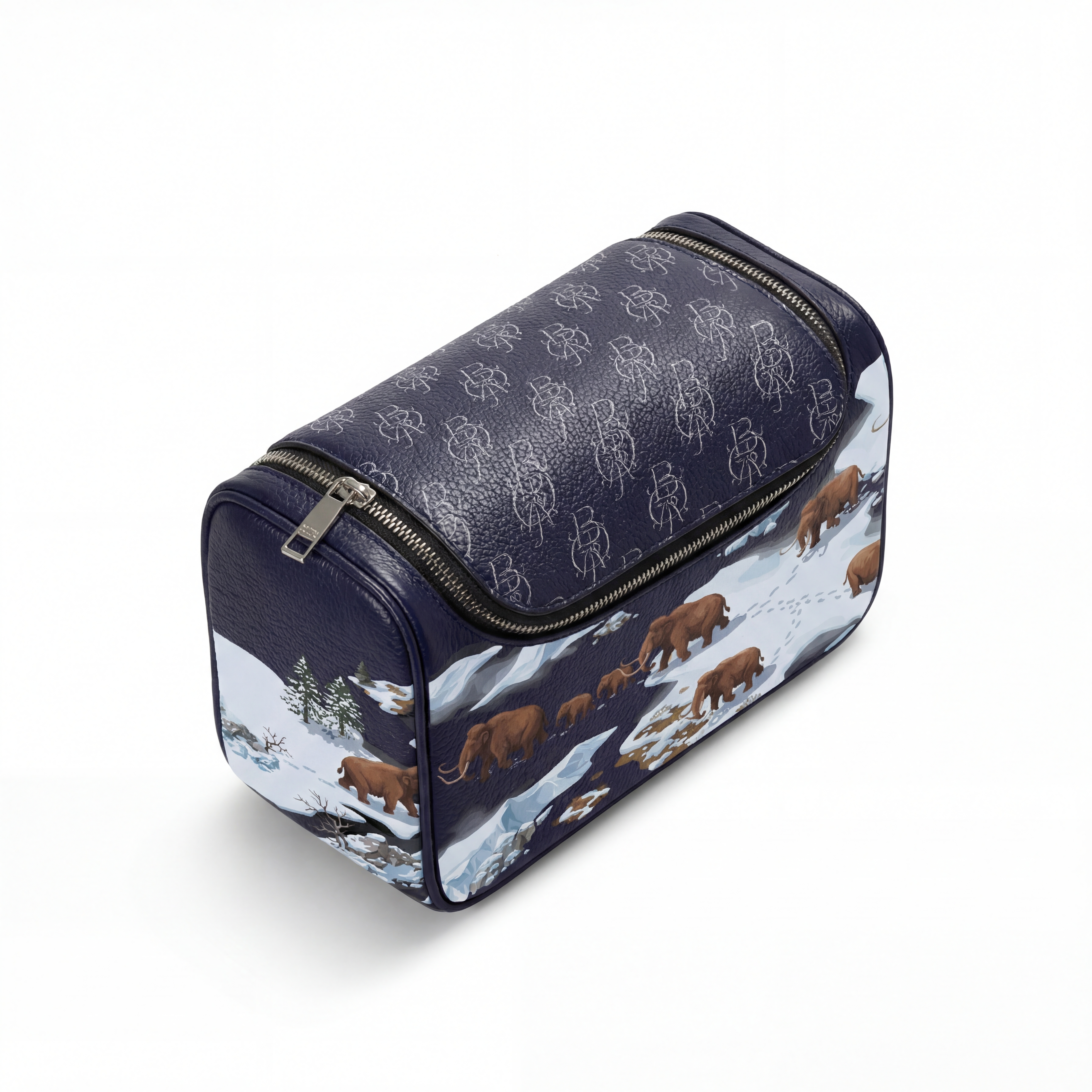 Capsule Pouch - Ice Age