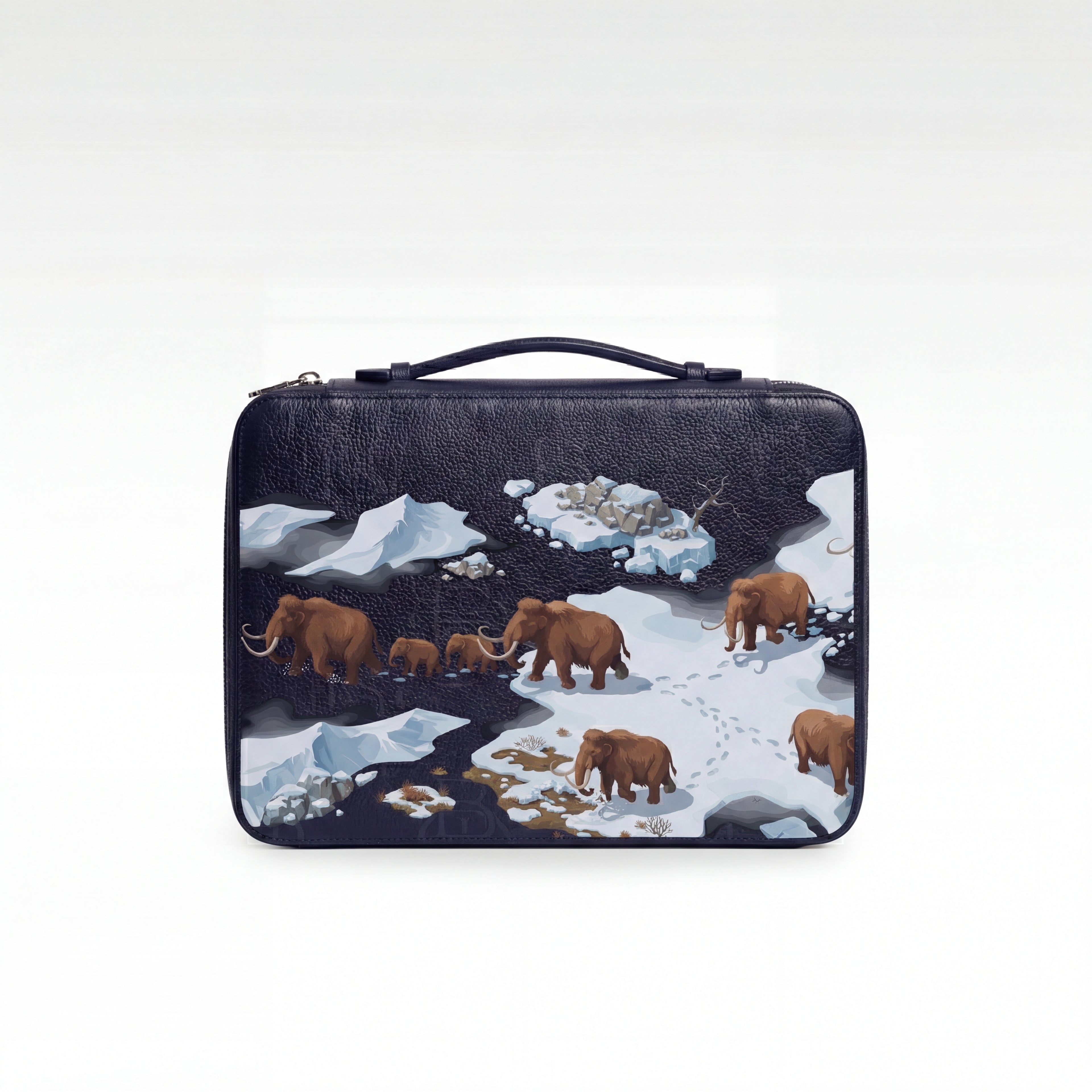 Brief Case - Ice Age