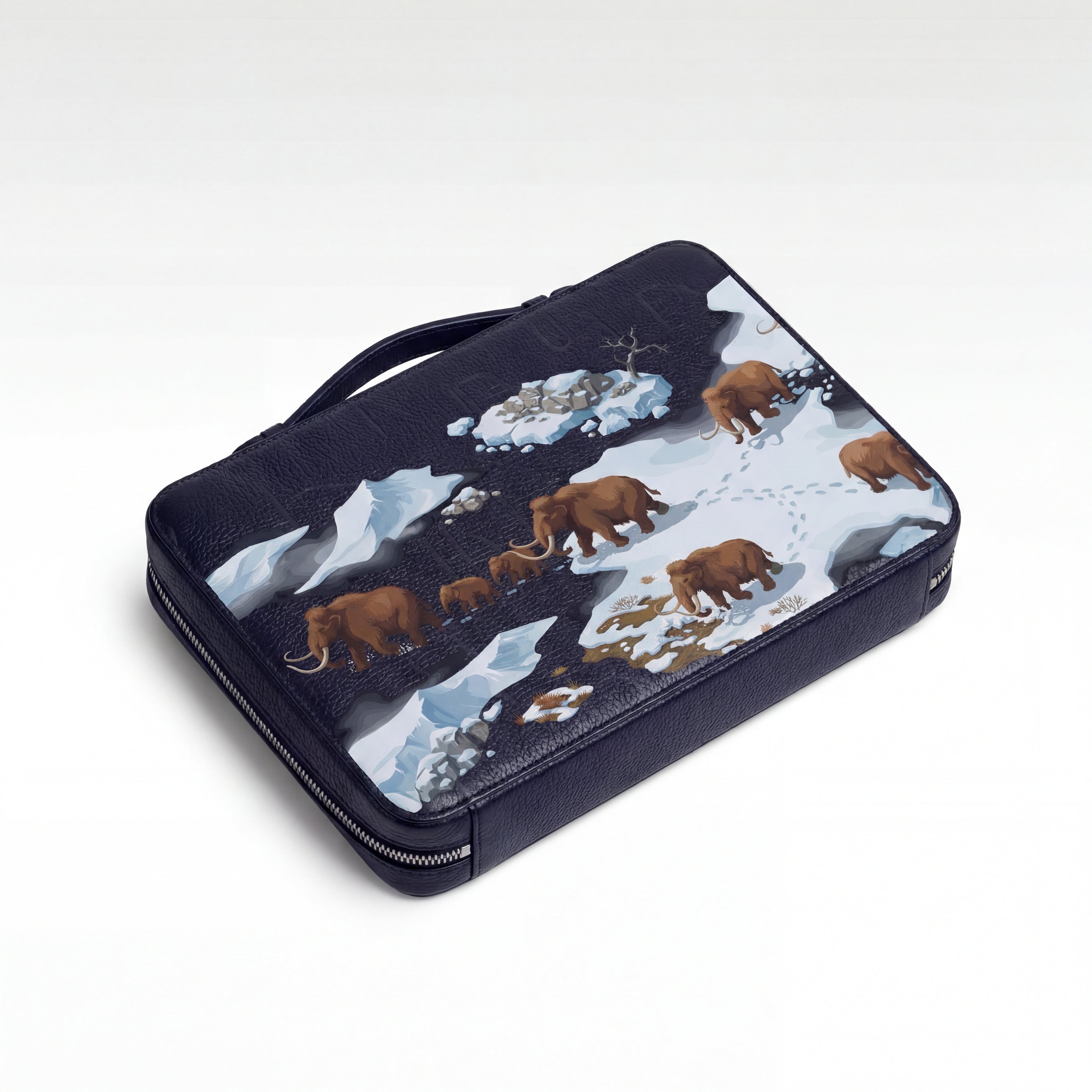 Brief Case - Ice Age