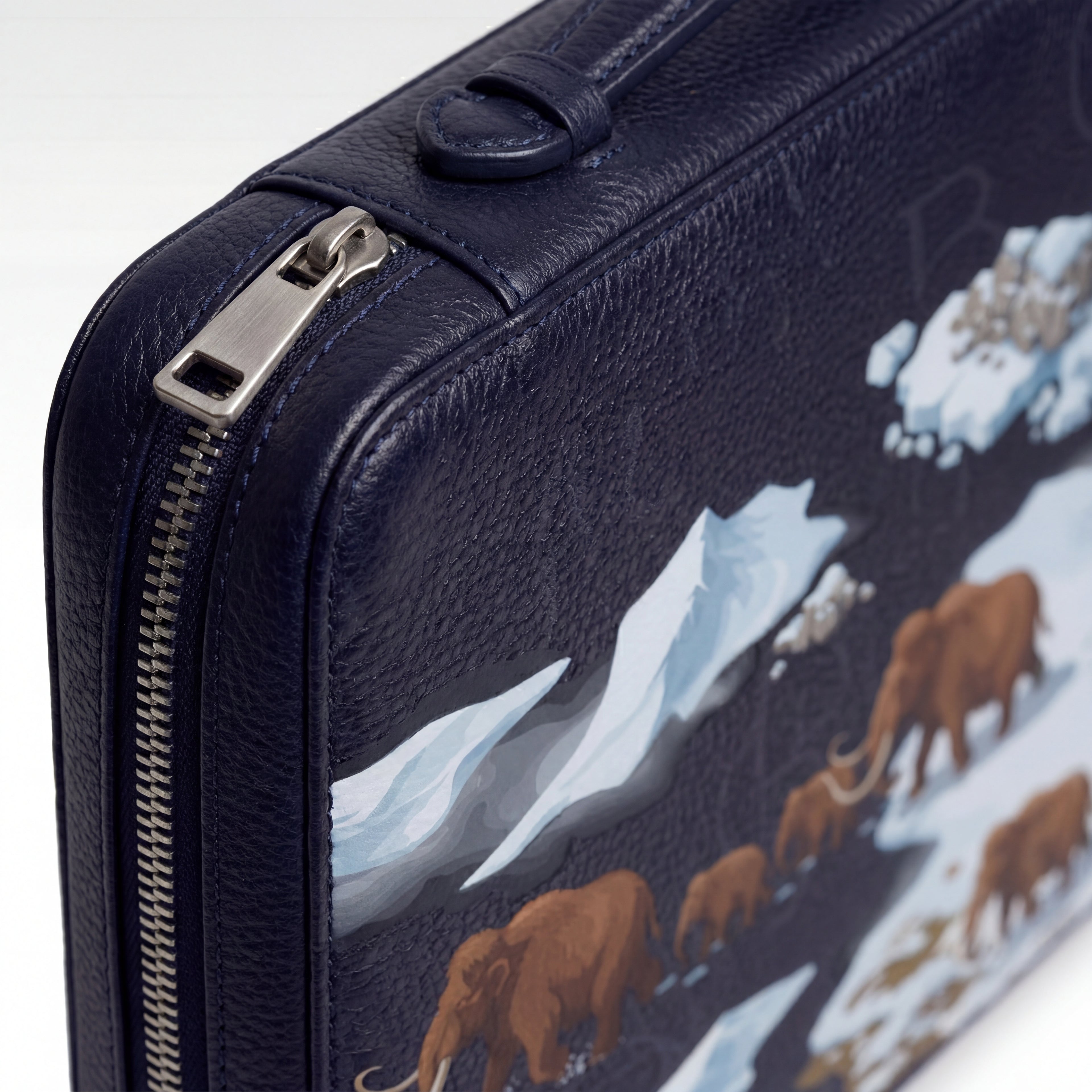 Brief Case - Ice Age