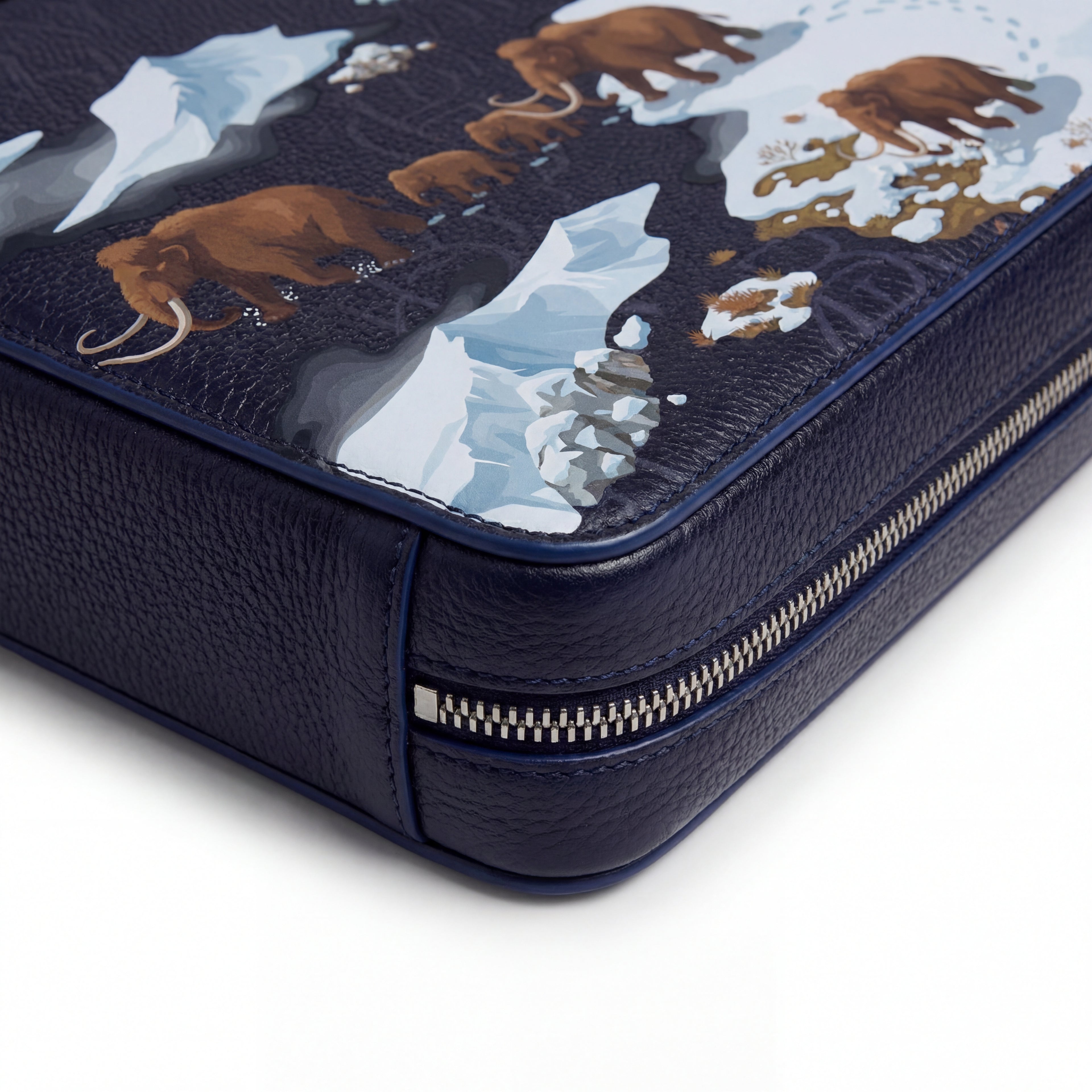 Brief Case - Ice Age